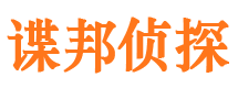 临渭侦探